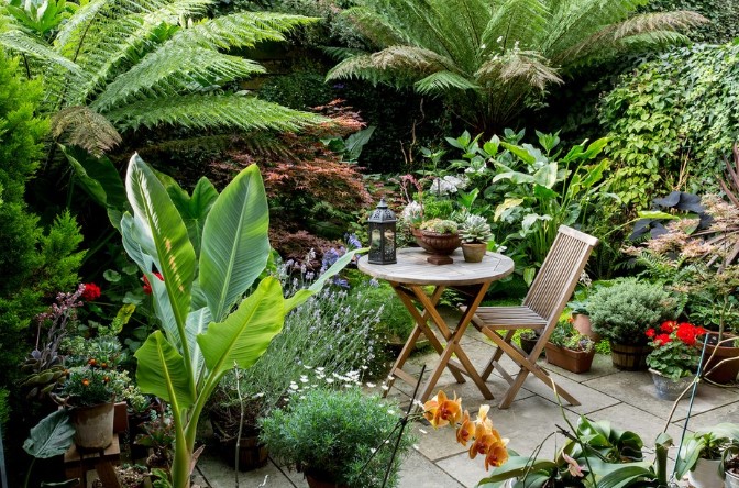 Home Garden Designs