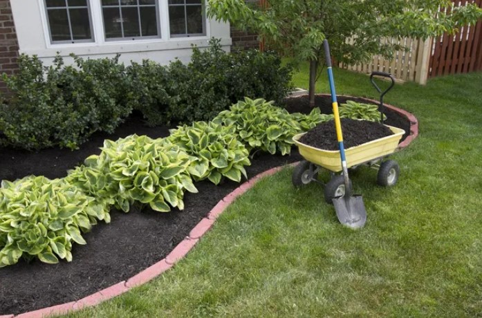 Top Reasons to Choose Expert Landscaping Services